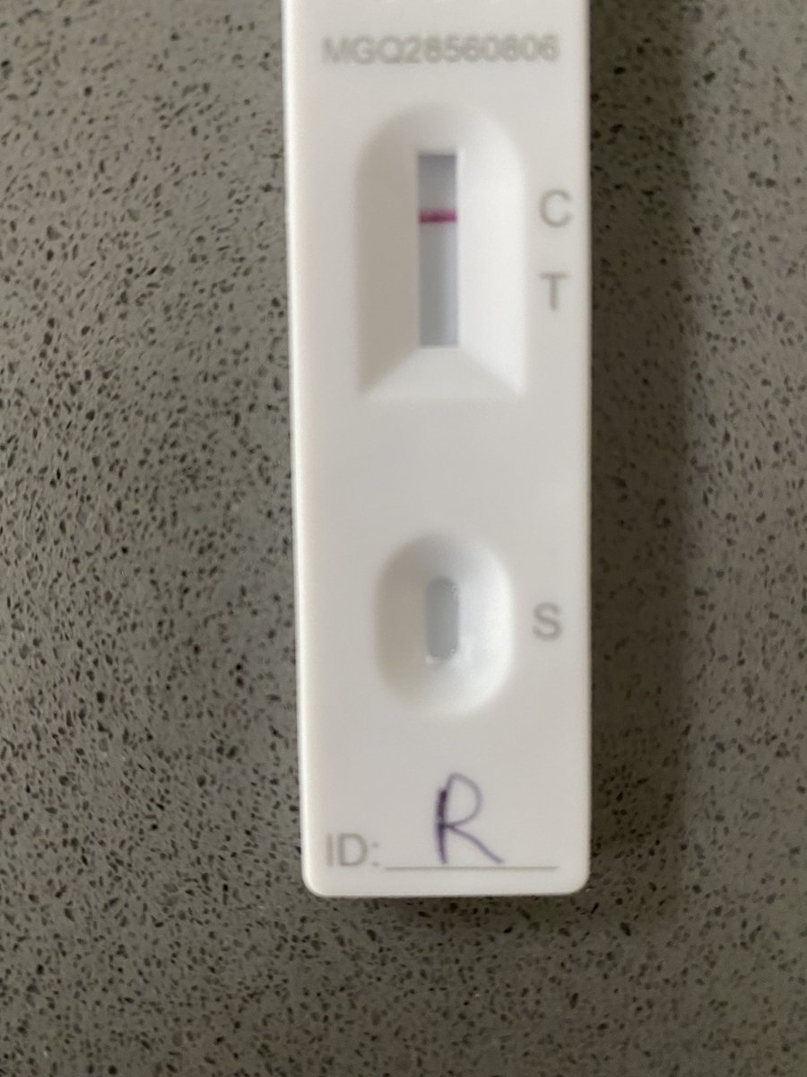 DeRobertus's tweet image. Ready for the ⁦@LMCB_UCL⁩ retreat! #stilltesting