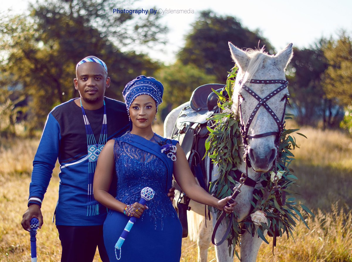 PriMenoe's tweet image. How it started vs how it’s going 🥺