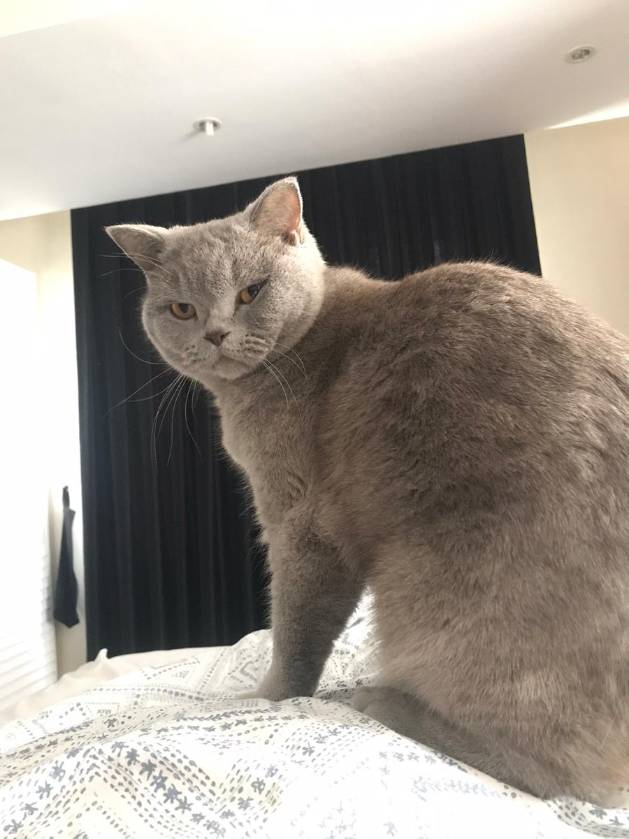 noluyö yafff ne bu tantana ??₺₺&amp;!!