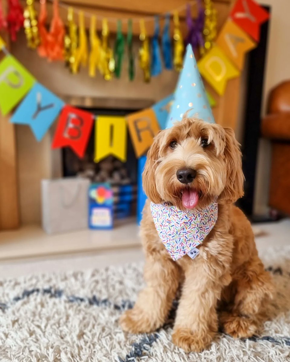 Happy First Birthday to Me!! 🥳