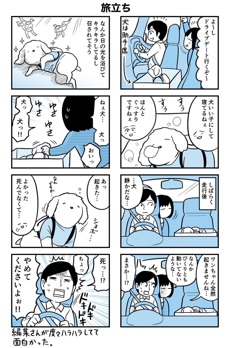 犬と箱根に行った話♨️

つづく!

(※コロナ前のお話です) 