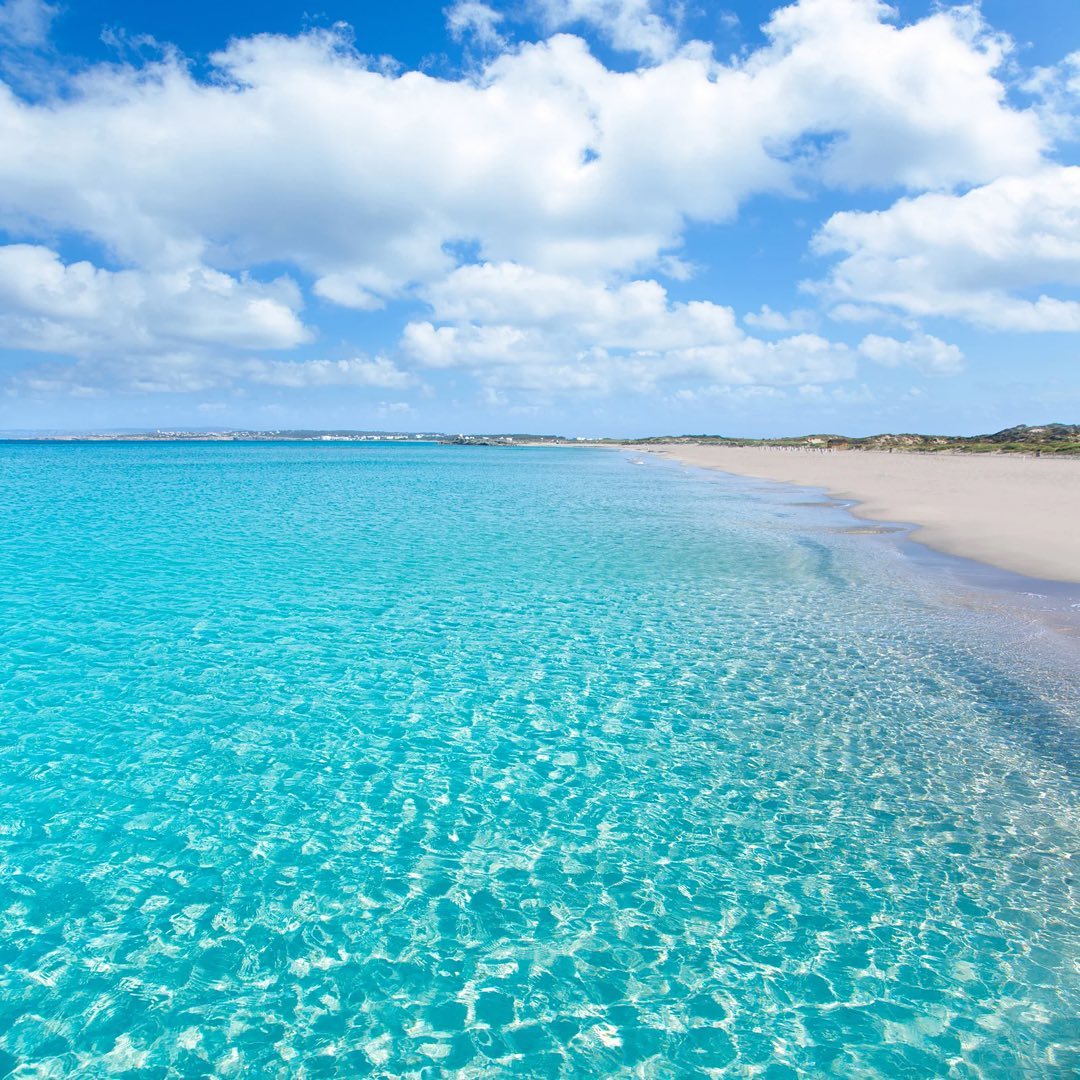 Marnaton's tweet photo. 4 días, y estaremos disfrutando de estas aguas en la #MARNATON @eDreams #Formentera by @Balearia …
¡Primera parada de la Copa MARNATON eDreams 2022!
#marnaton #swimandfun #formentera https://t.co/JSgESDyEm9
