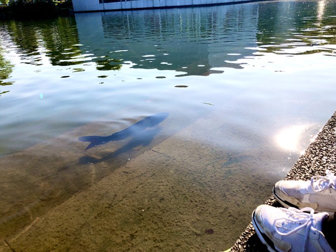 Twitterのコスプレ画像39