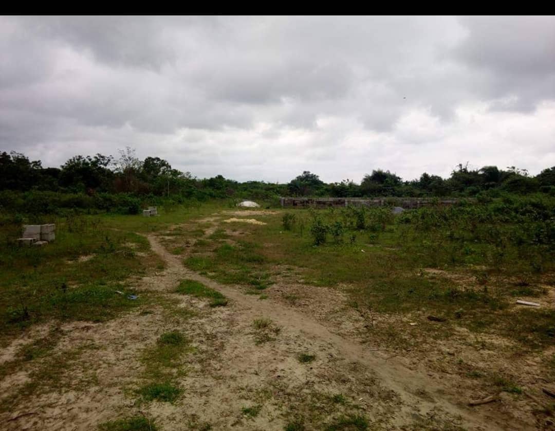 royblinks's tweet image. Pertinence Limited
VIP Gardens
Location:Ibeju Lekki
Size:600 sqm(120/60)
Title: DofO
Price:N6.5M( negotiable)
Allocation:Block B, Plot 26
Neighborhood:Lekki free zone, Lekki deep seaport,Dangote refinery and petrochemical industry, Dangote fertilizer, et al. call me: 08060101439