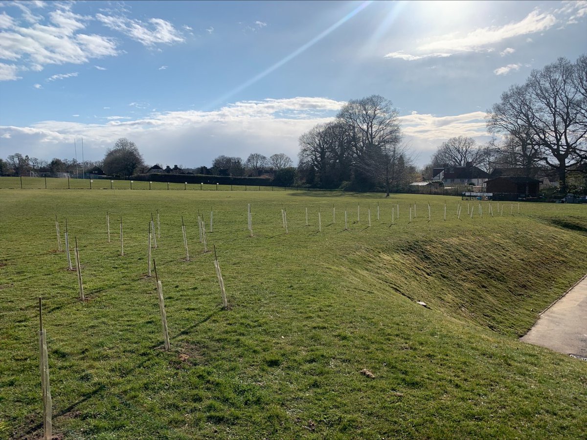 Partners in Learning Academy Trust tweet media