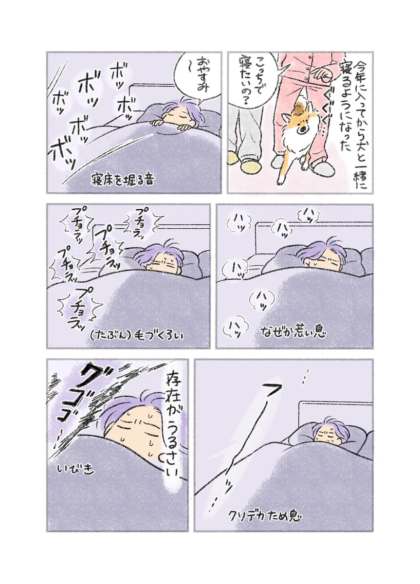 絶えることのない物音･･･！愛犬と一緒に寝たときのお話！