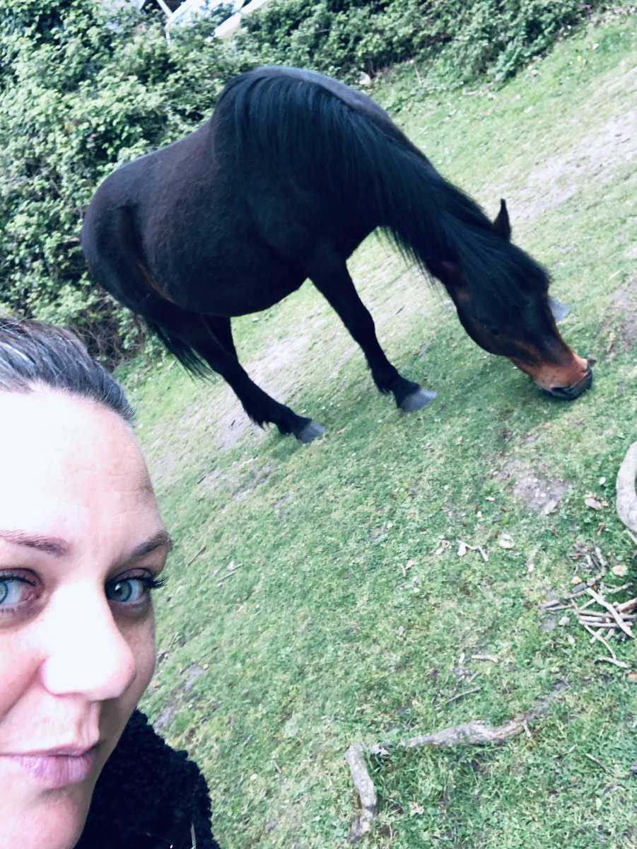 dannidreaming's tweet photo. Day in the New Forest with my family yesterday. Much needed. #familyfun #photooftheday #newforest https://t.co/eOAIQfLMxo
