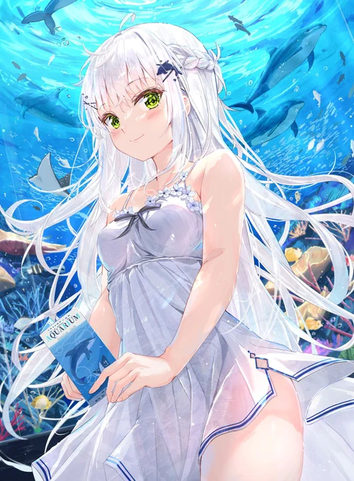 Aquarium 