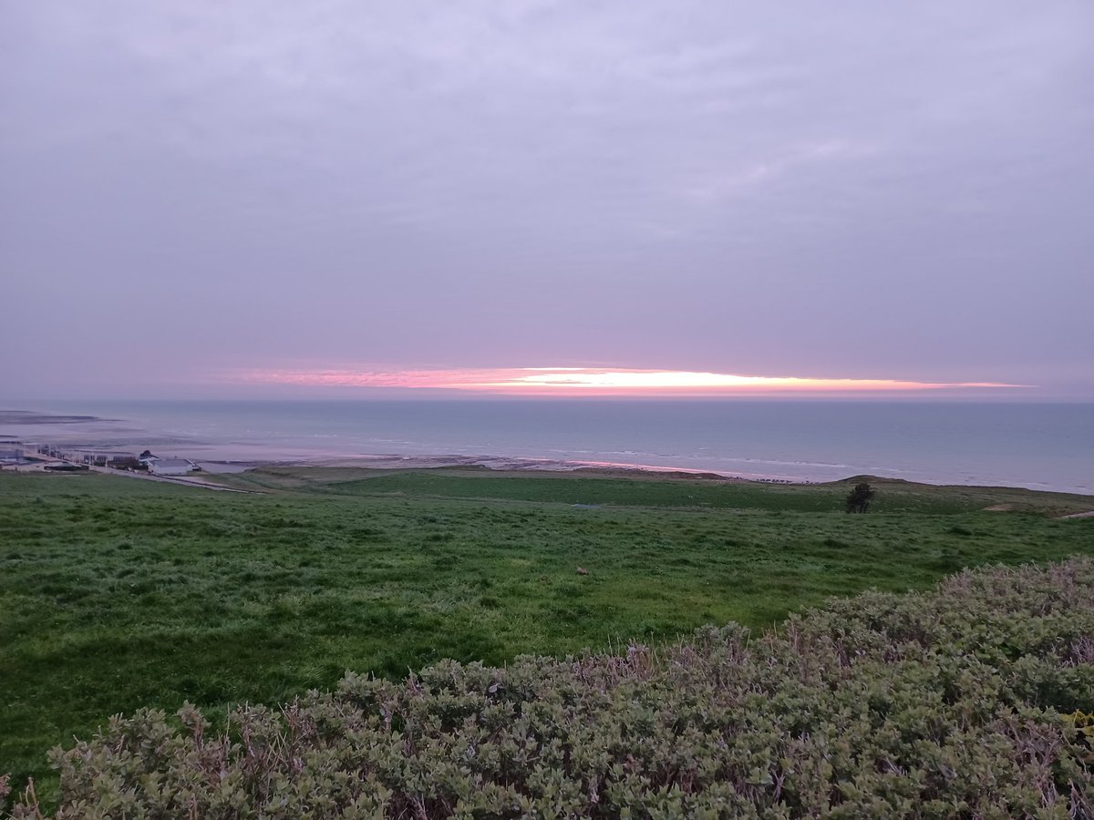 Laurent CHIVOT tweet media