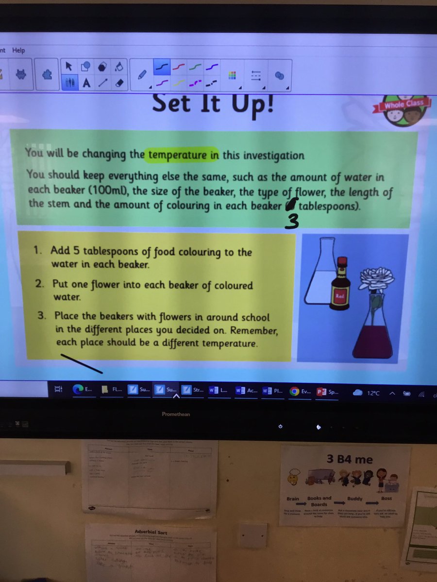 Today’s science in Y3 🧪 🔬