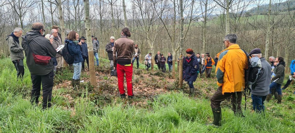 FORESPIR_'s tweet photo. 🇫🇷#Forespir a accompagné le CRPF #NouvelleAquitaine, dans l’organisation de 2 journées techniques sur le terrain, chacune réunissant 60 participants.
💡Objectif : Présenter et échanger sur les expérimentations en lien avec le #changementclimatique et la gestion des #forêts. https://t.co/hqB3h2xMG9