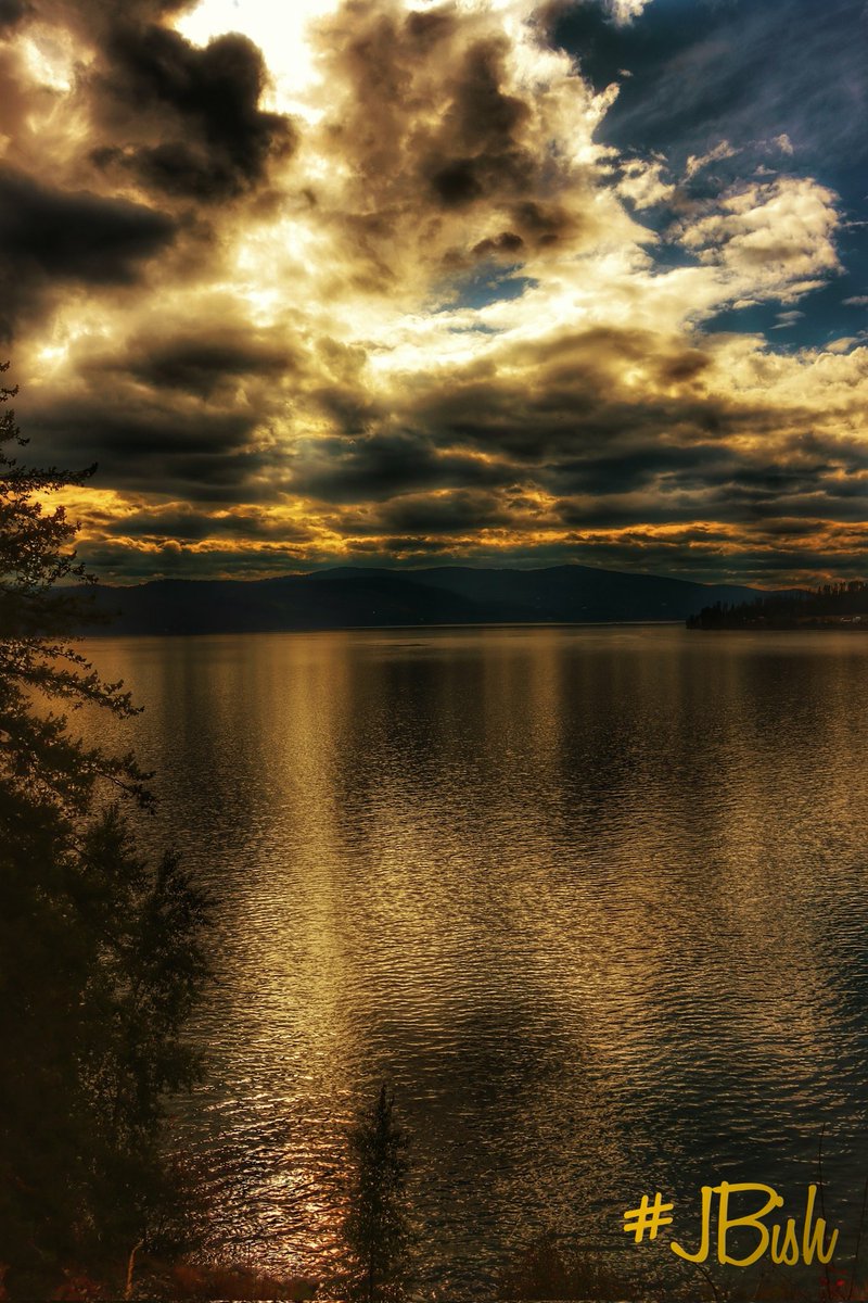 palmofhand's tweet photo. #naturephotography
#JBish
@HTC_Enthusiast 
☁⛅☁💛 https://t.co/5wQmZlLSdg