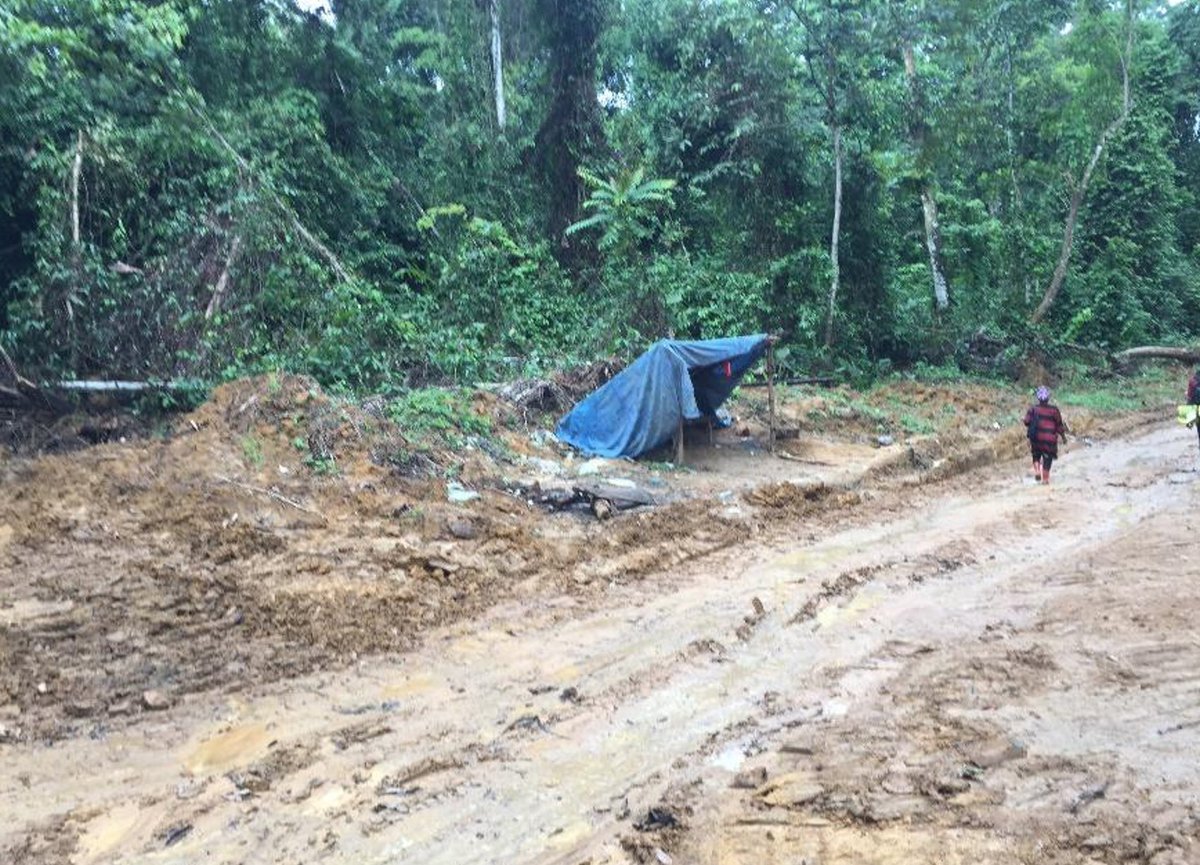 andreapdrager's tweet image. FMU 09-027: "With 14-17 CUF logging trucks coming in every day, the animals have run away. What are we going to eat now?" Hunting is the main source of protein for rural Bagyeli-Bakola people. Below: remains of bulldozed hunting camp. #rainforest #Cameroon #MINFOF