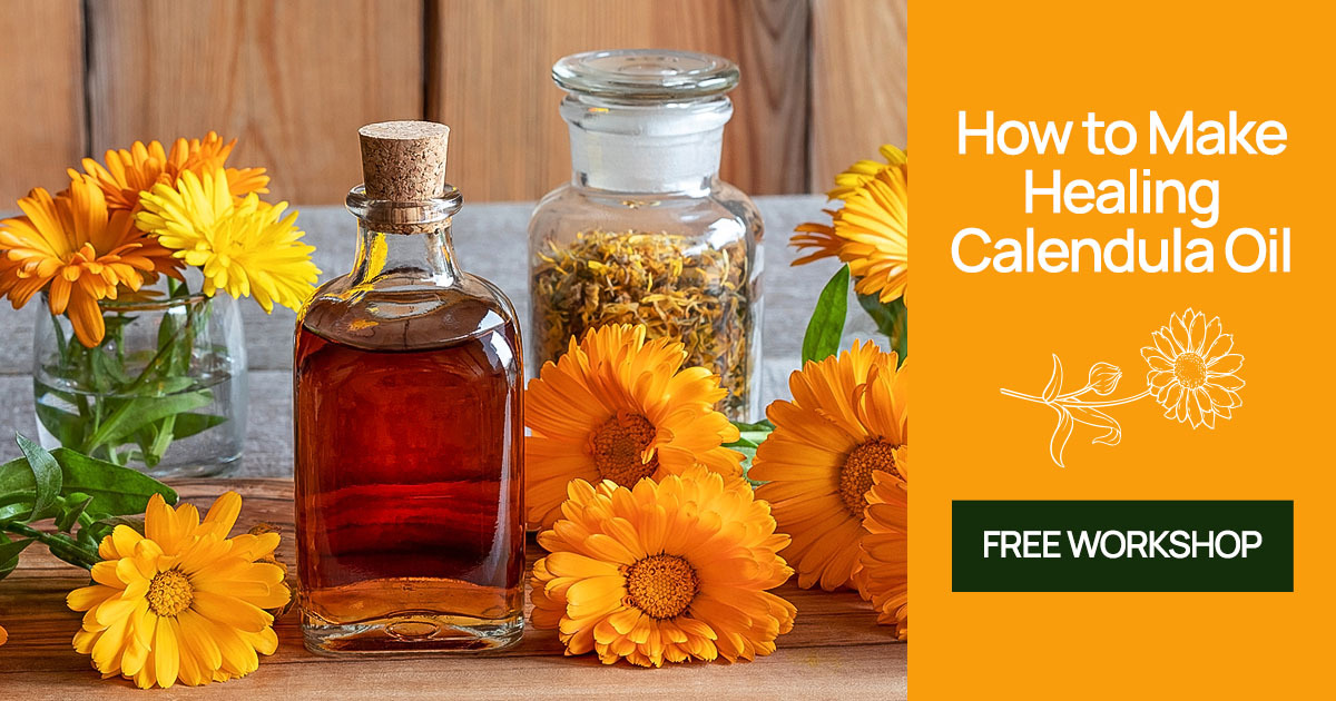 Love the skin you’re in, and nurture it with this incredible healing oil! Unlock the secrets to better skin by making homemade calendula-infused herbal oil with my favorite herbalist, Kami McBride. Check out her FREE video (+ eBook download) today!
sacredinnerwisdom.com/recommends/hea…