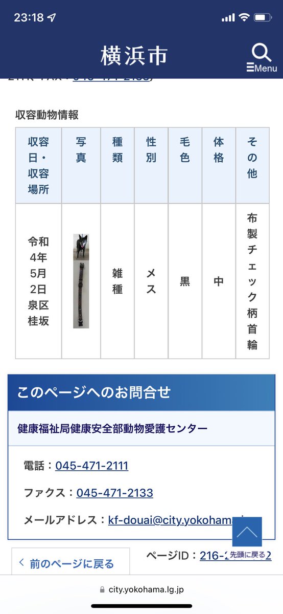mrkurio's tweet photo. 横浜市のホームページ見ていたら、無事に保護されていることが分かりました❗️
リツイートして頂いた方、ありがとうございました😊

そして、こんなにも迷い犬を探されている方がいることも分かりました❗️
みなさんの大切なワンちゃん、ネコちゃんが無事にみなさんの元に帰れますように✨ https://t.co/1mmZ8HnXwS