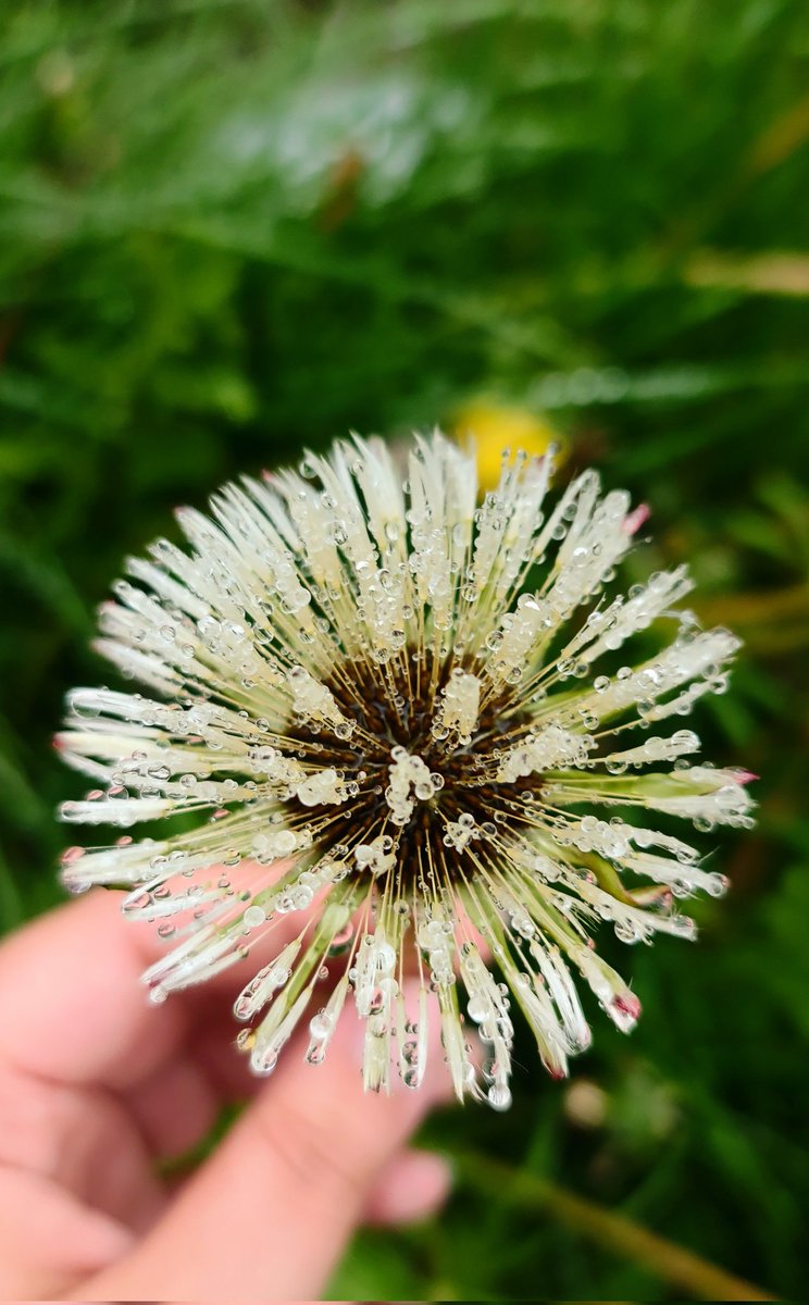 Friendly reminder to stop and appreciate the beauty in the little things 💕