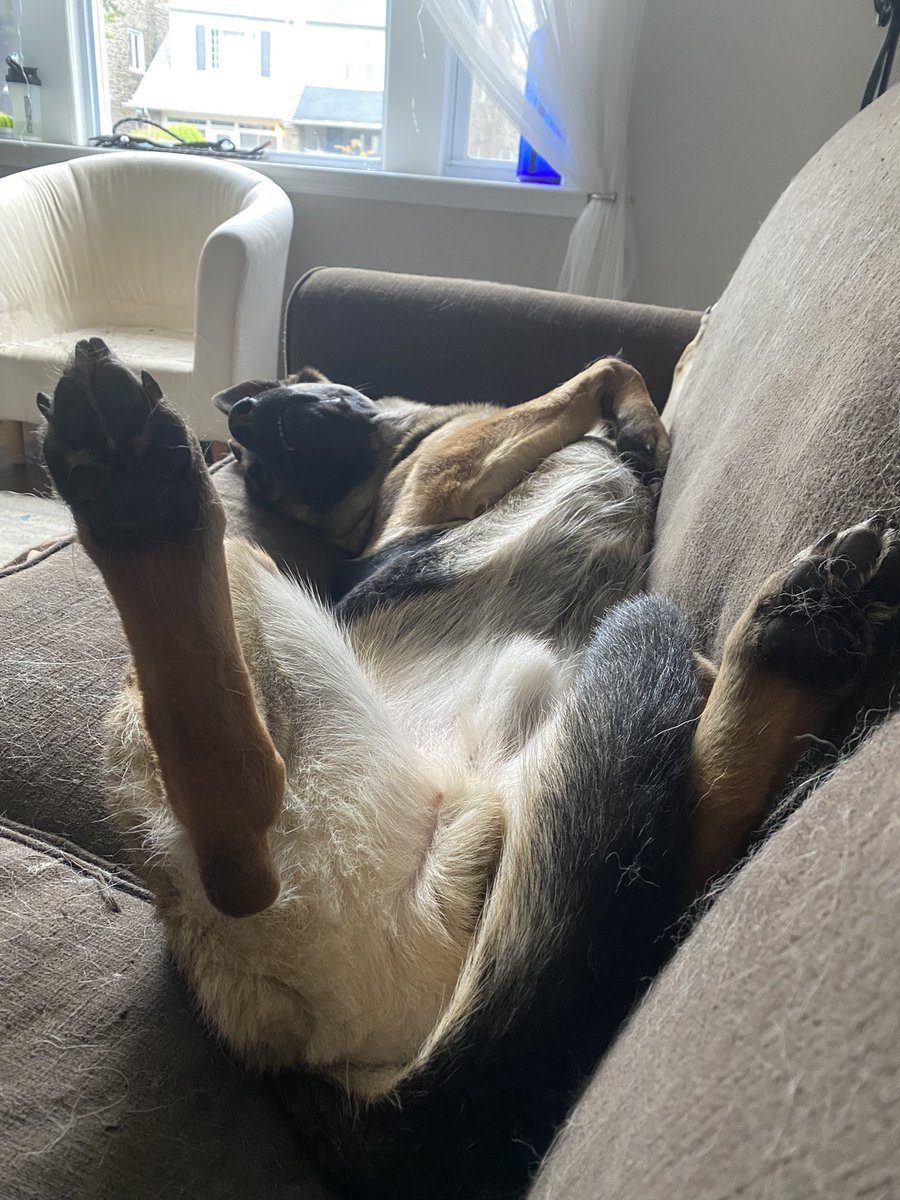 Sam Olafson tweet media