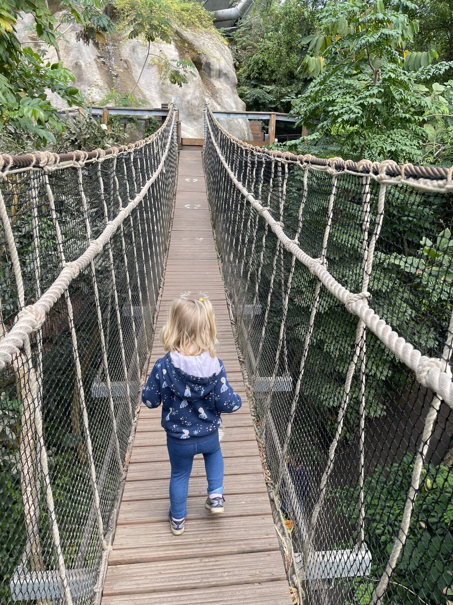 Chris Dutton (@cm_dutton) on Twitter photo Day three in the bag - <a href="/EdenProject/">Eden Project</a> was today’s mission, flew past 5k with a trip to the med and the rainforest. Day three in the bag - <a href="/EdenProject/">Eden Project</a> was today’s mission, flew past 5k with a trip to the med and the rainforest.