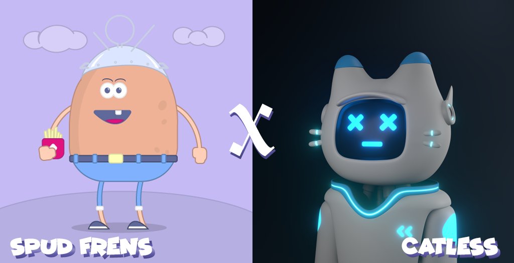 Catless😼 tweet media