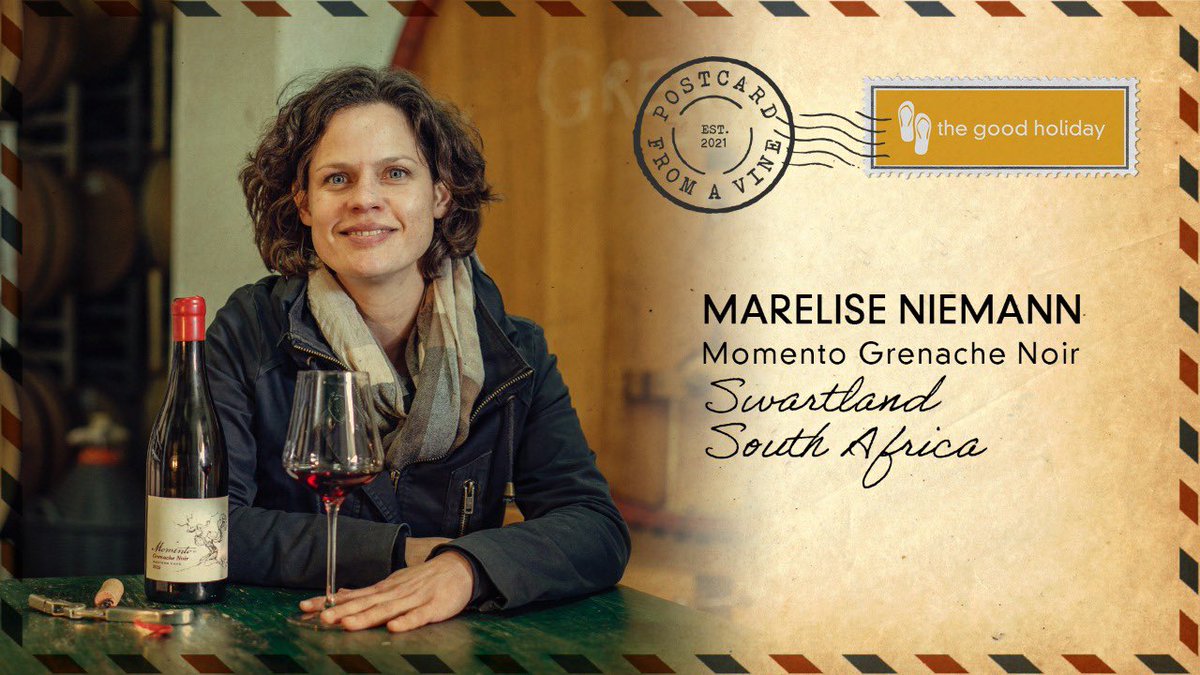 Join me and Marelise Niemann from #MOMENTOWINES while we taste her famous GRENACHE NOIR in the Paardeberg. #postcardfromavine 
youtu.be/JNJgCYijPhg