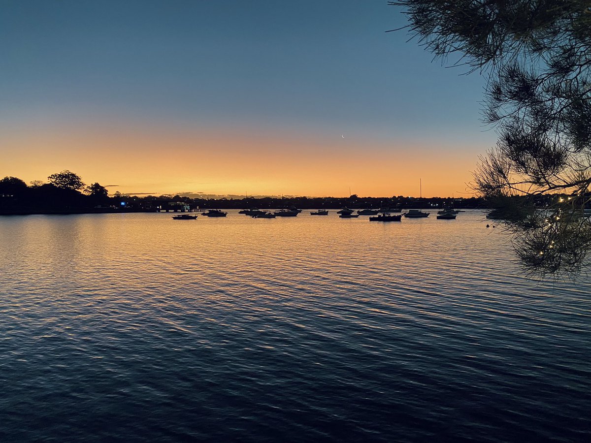 Office view of the day 🎬