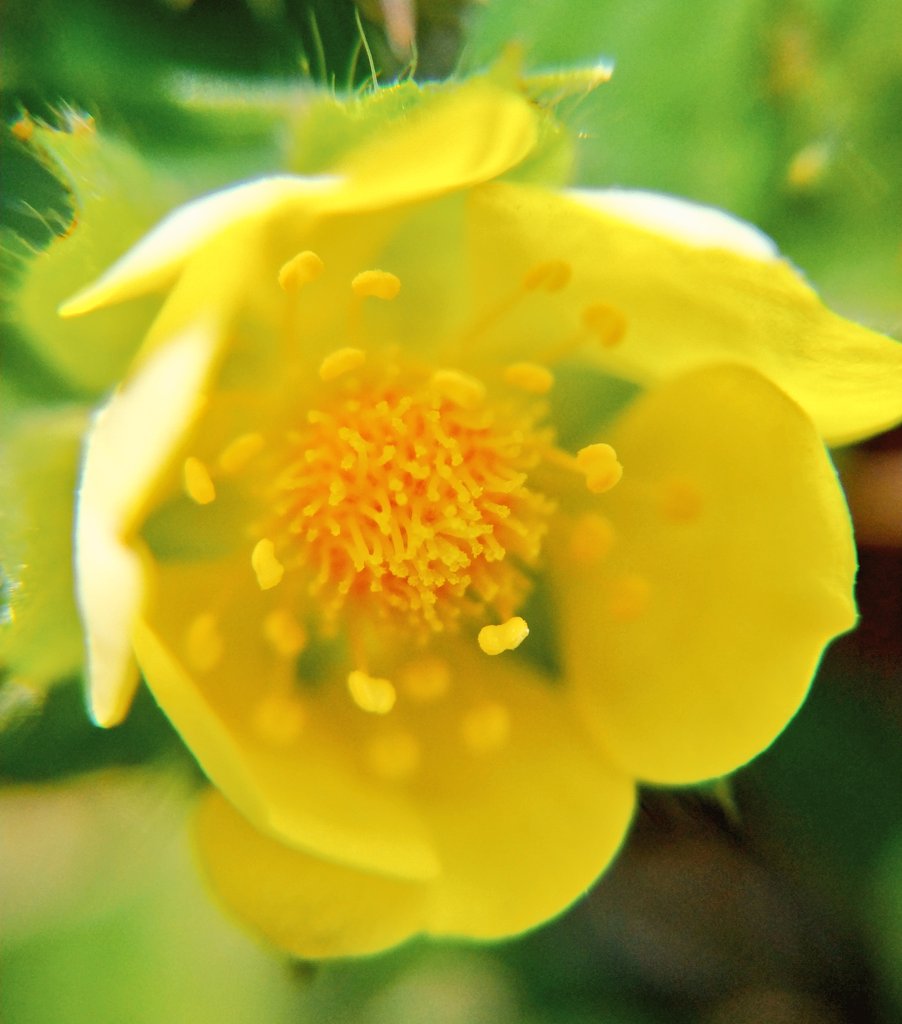 Jian Jianmiyou Twitter