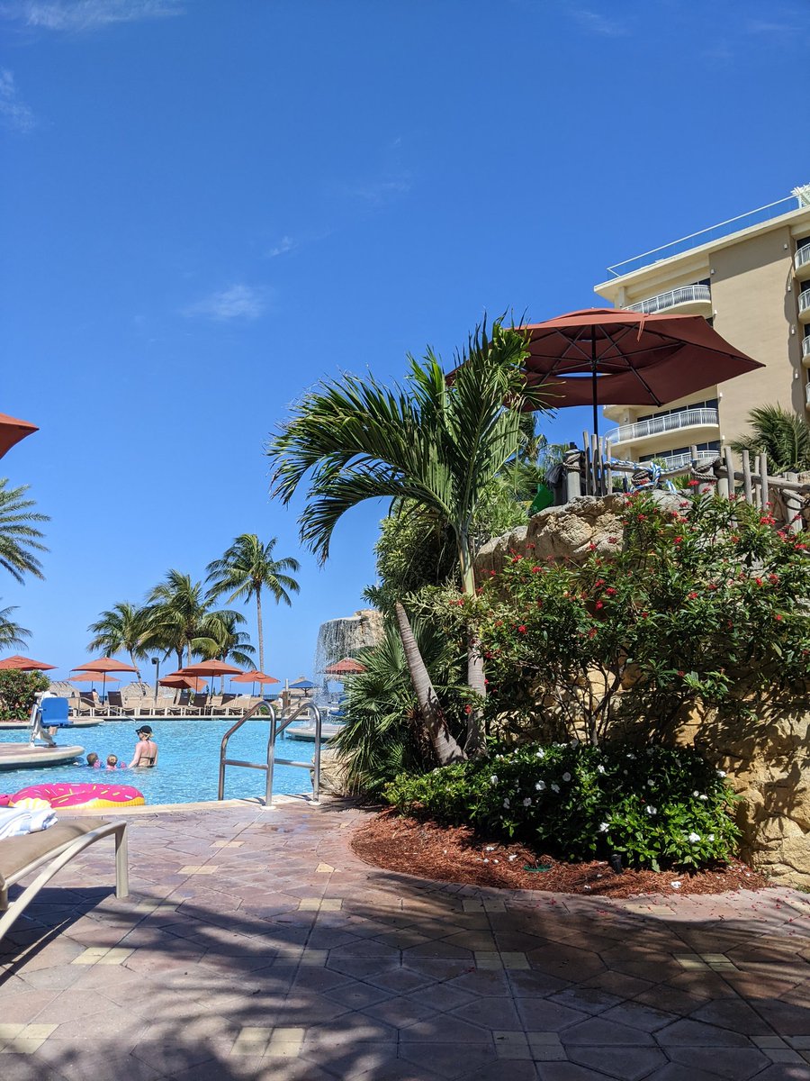 dho86's tweet photo. Changing it up for poolside views today @SiriusSummit #siriussummit https://t.co/NhHRWMae7k