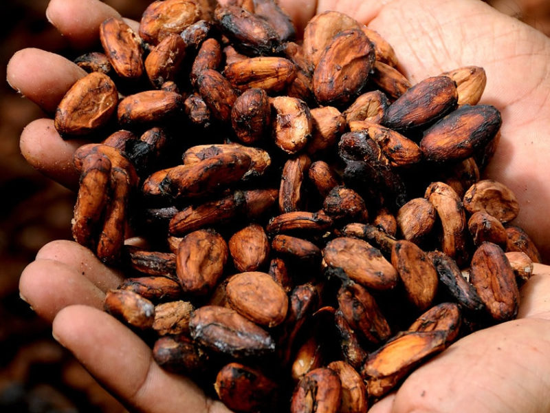 ReallyGood.com tweet media