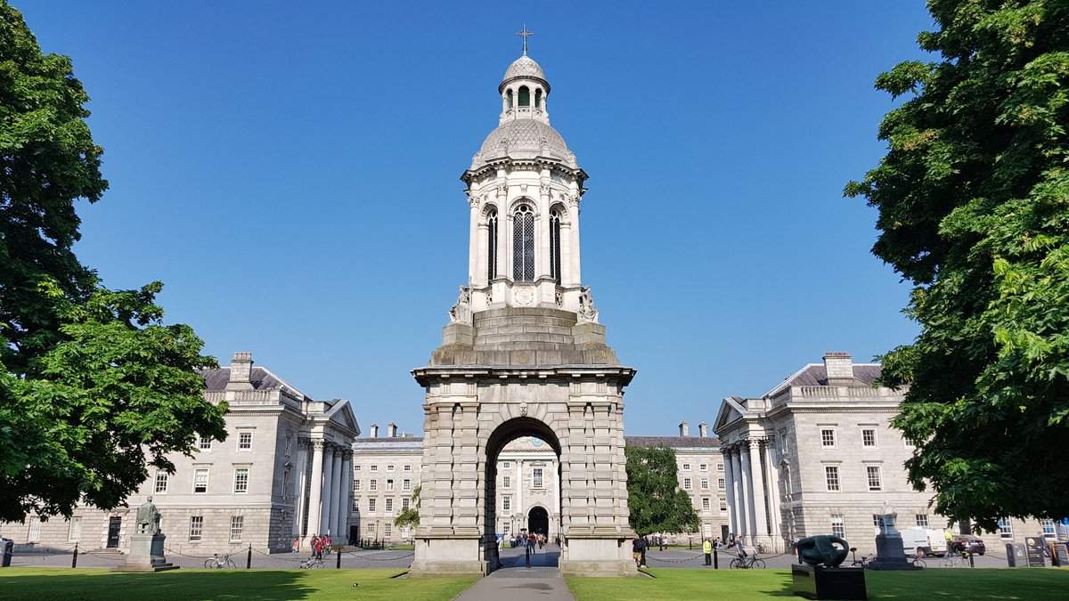 Jane Stout tweet media