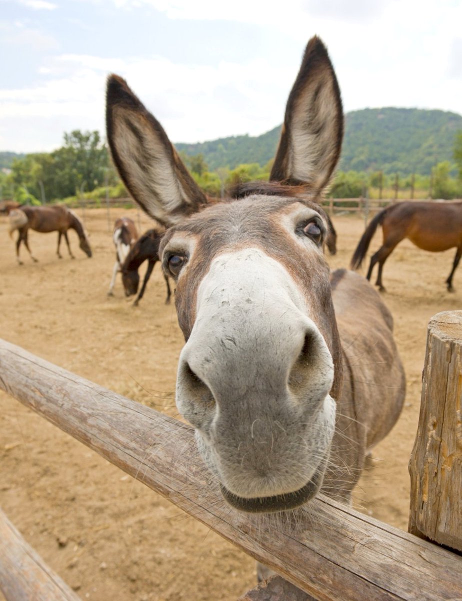 Dr Darren R Flower drdarrenrflower.bsky.social tweet media