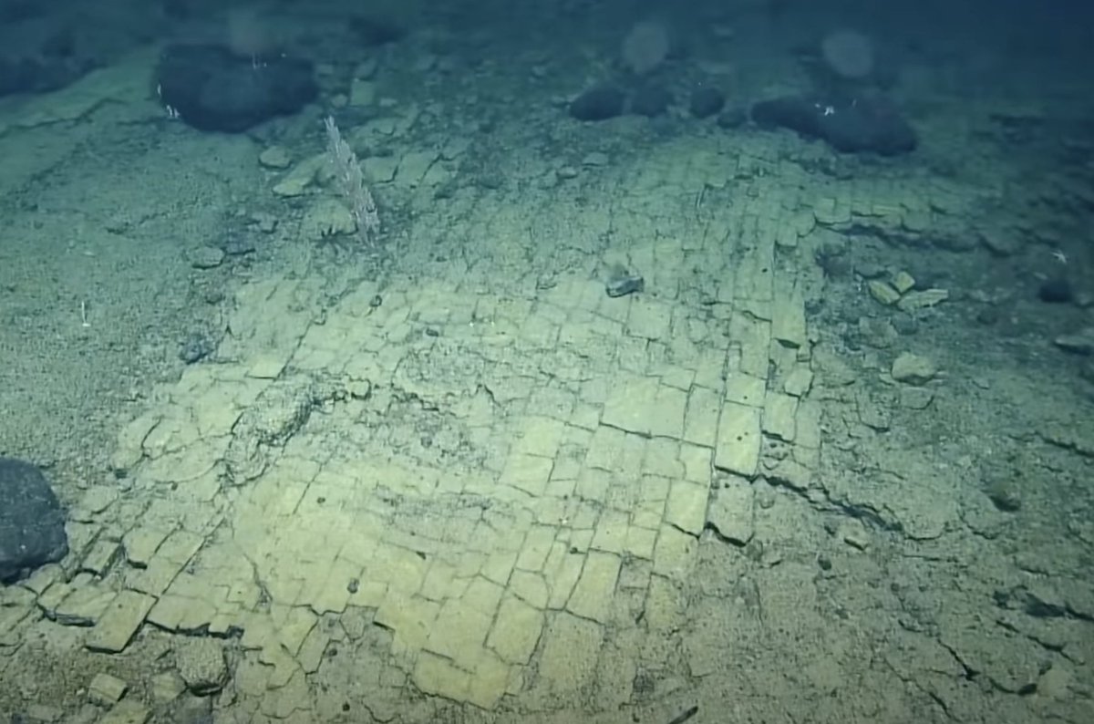 EVNautilus's tweet image. What may look like a "#yellowbrickroad" to #Atlantis is really an example of ancient active #geology! It's a fractured flow of hyaloclastite rock likely due to heating and cooling stress from multiple #eruptions at this baked margin. Watch: nautl.us/3FfSVof