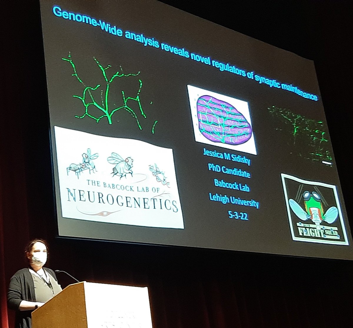 Ida Chow tweet media