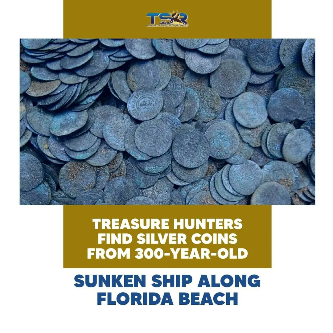 Treasure & Shipwreck Recovery tweet media