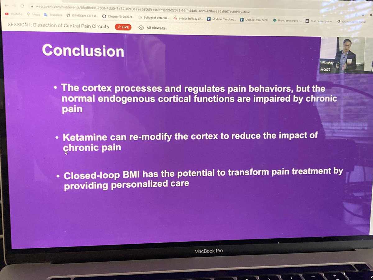 Thoroughly enjoying <a href="/NYASciences/">NYAS</a> #Pain2022 now listening to ways to affect cortical gain and function with #ketamine #Hypersensitivity #SpontaneousPain