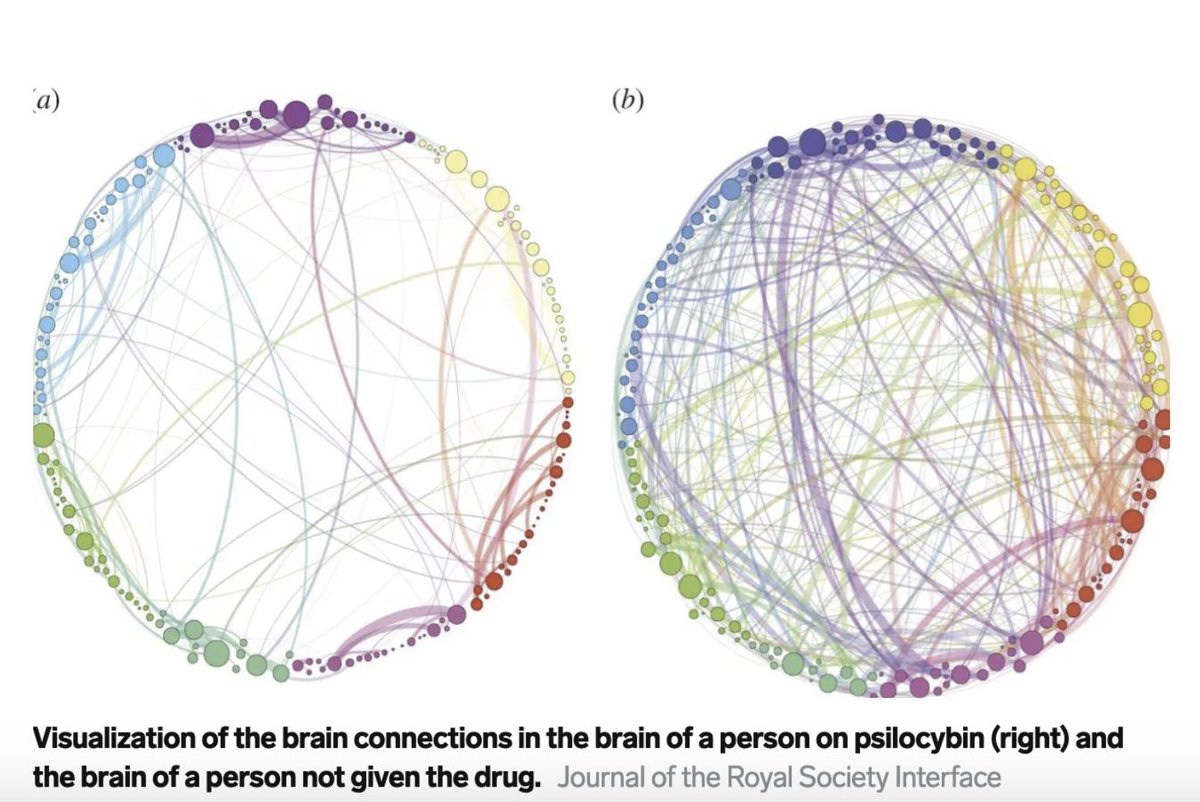 Psychedelic fam, want to see something cool?