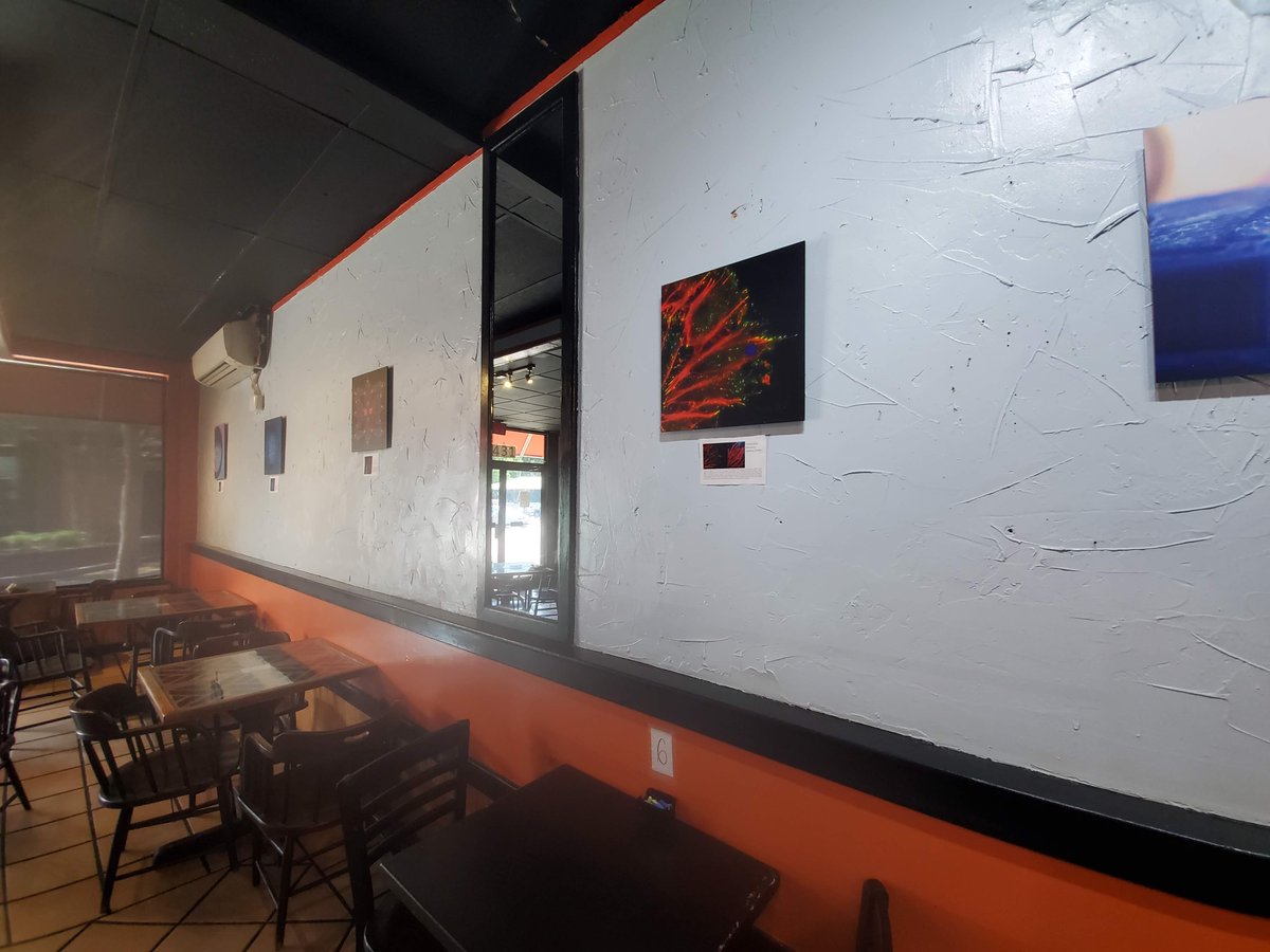 ECLaserTag's tweet image. Be sure to grab a bite to eat and check out the Capturing the Art of Science exhibit @ The Scullery this May!