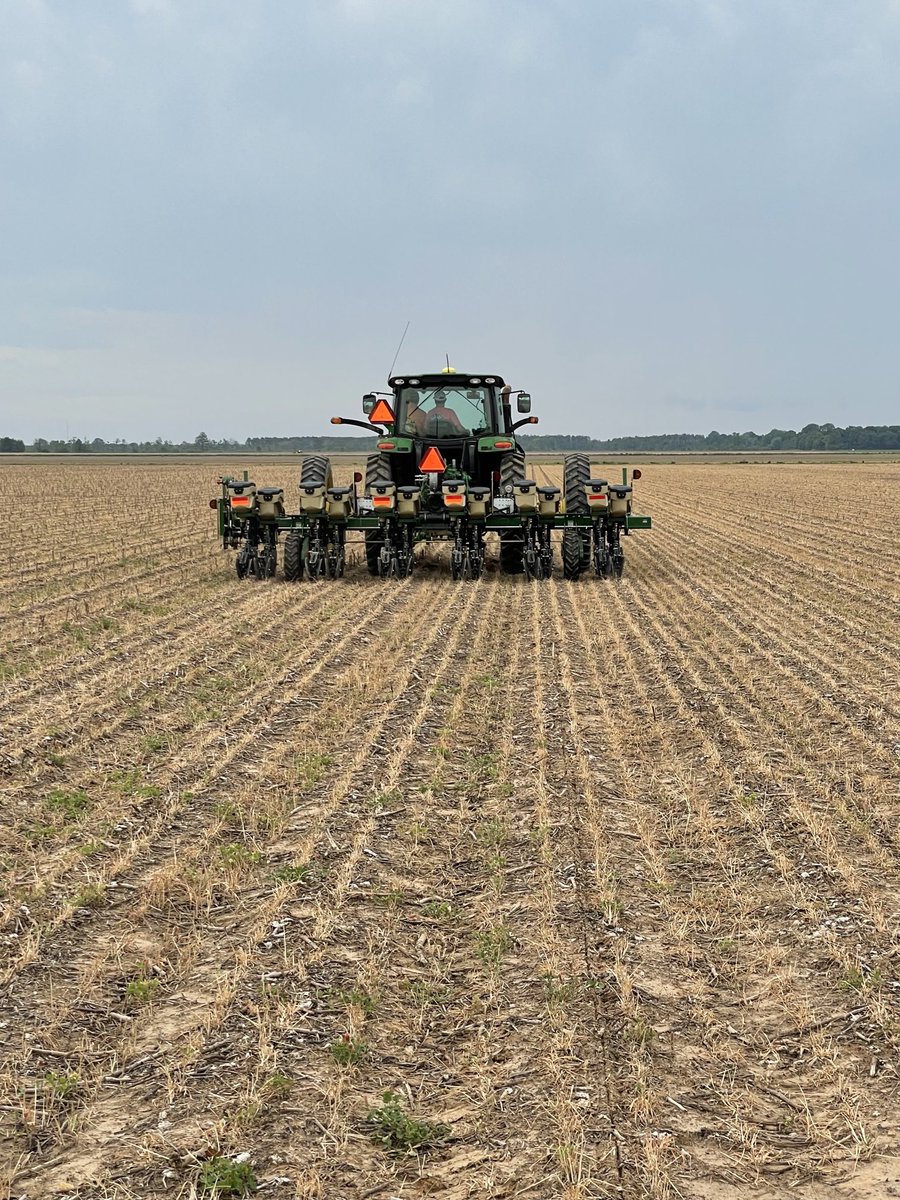 Nick Crouch tweet media