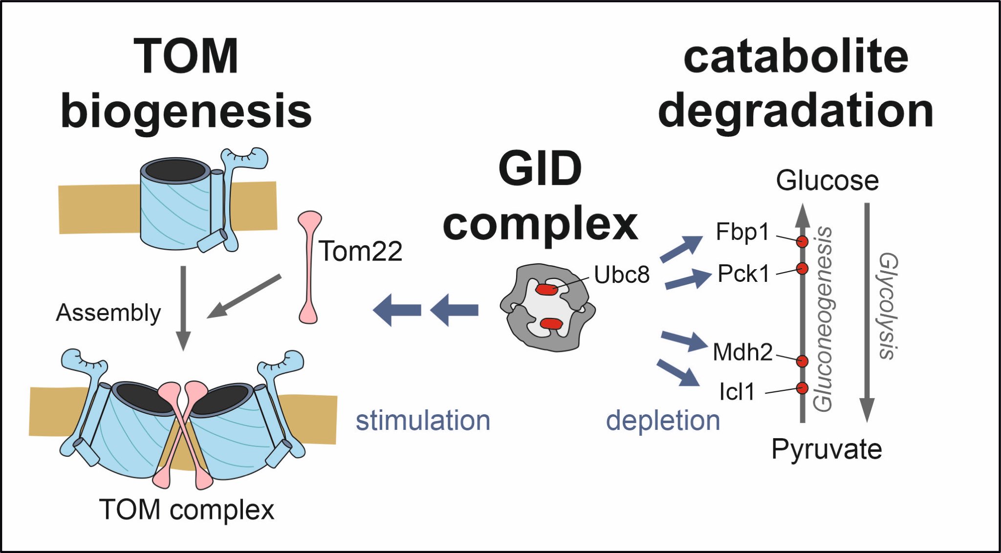 Johannes Herrmann on Twitter: