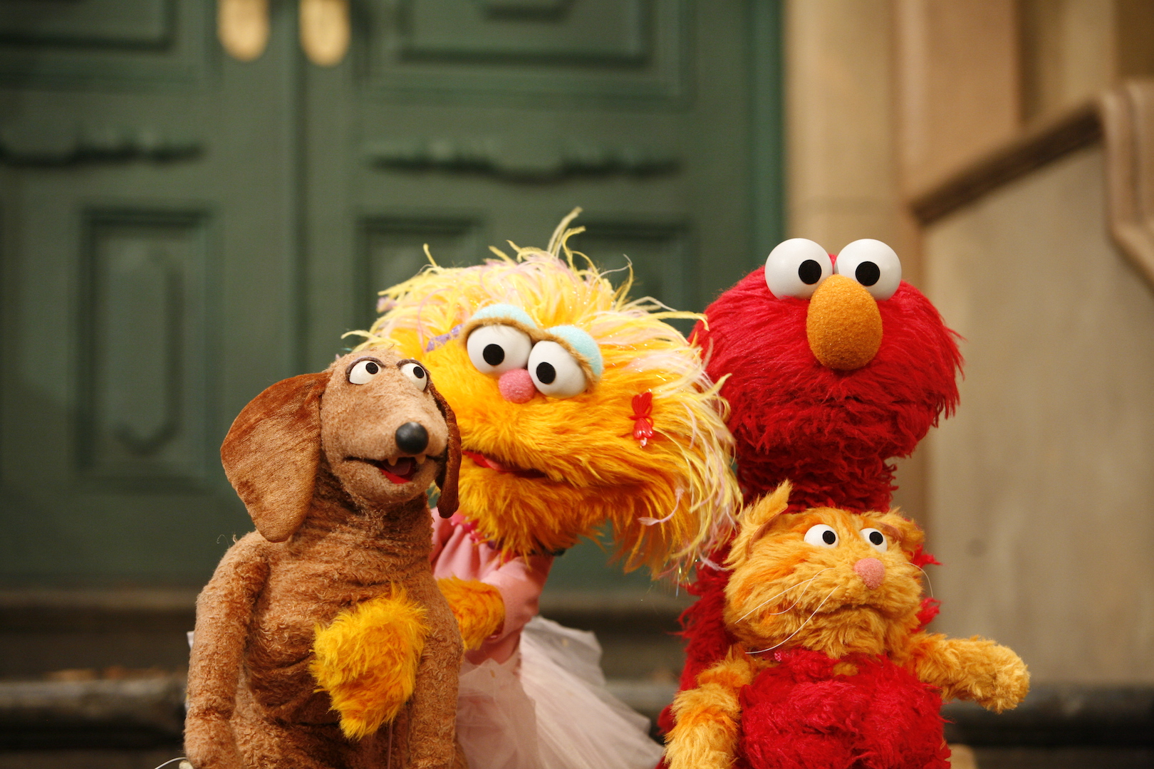 Elmo on Twitter "When Alan said it would rain cats and dogs in May