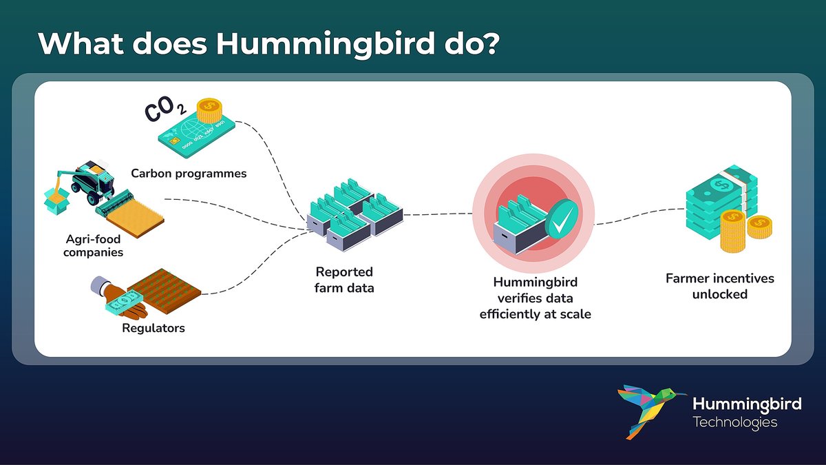 TechHummingbird's tweet image. We provide Monitoring, Reporting & Verification (MRV) of agricultural practices to enable monetisation of regen ag and sustainability outcomes
Using satellite imagery and #AI, we detect metrics such as #tillage practices, crop types & cover crops.