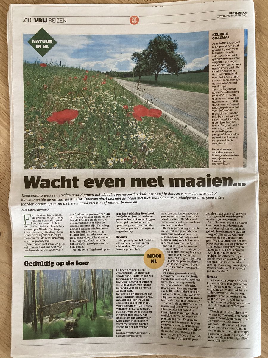 Magnoliaontwerp's tweet photo. Graag ondersteun ik de MAAi MEi NIET campagne van oa @OpSteenbreek … lees het interview dat ik gaf aan @telegraaf over Niks doen.. dat is nog het beste 🍃 #maaimeiniet https://t.co/5Q3D8xKVBT