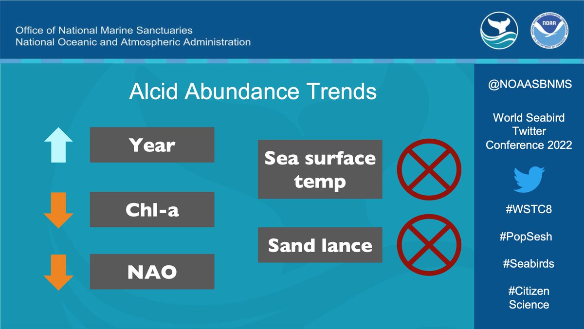MaxBFournier's tweet photo. 4/4 #WSTC8 #PopSesh Alcid sightings ⬇️ in 2015, which had abnormal temp and a shift in chla dist. Alcid #'s correlated ⬆️ with year and ⬇️ with chla. A ⬇️ trend was seen with the #NAO index. With more long-term data, we may be able to see even more trends in alcid abundance! https://t.co/WQY1M2Pp3G