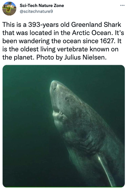 GreenpeaceUK's tweet photo. 393 years old! 🤯🦈 #NatureIsAwesome https://t.co/KBfhz27vDO