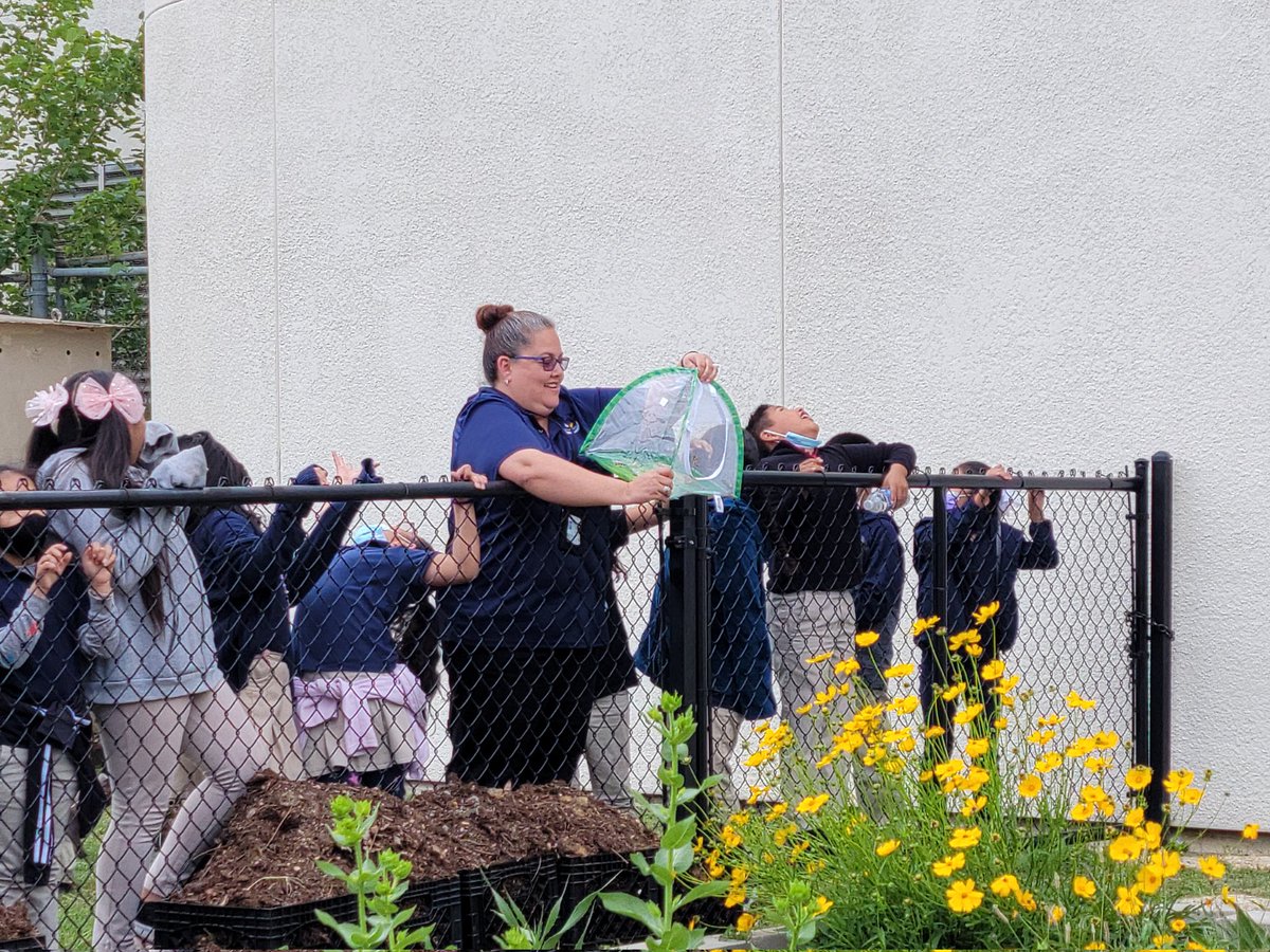 LDZ_FAM's tweet photo. 2nd grade releasing butterflies after observing their life cycle. @LDZ_Principal @LDZEagles #ldzlegacy https://t.co/LxqzZT1tyV