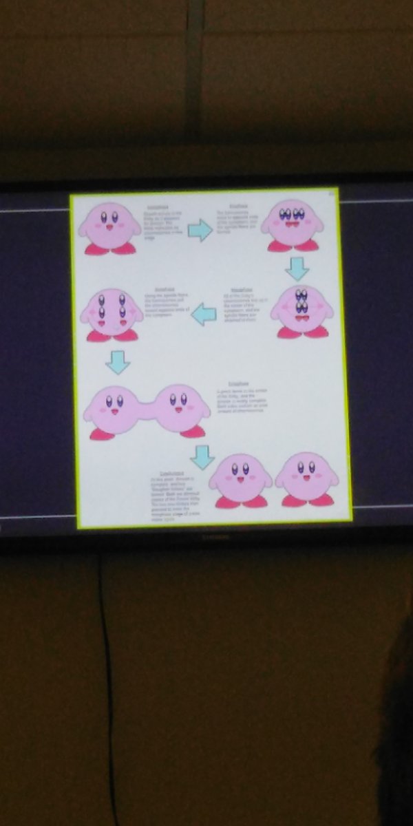 gordon_halaif2's tweet photo. Kirby Dios en mi clase de biología XD https://t.co/olXztPdwow