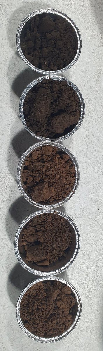 edufarias68's tweet photo. TRIGO 22
parece que no estamos tan mal de agua, napa a 2,10 m, las muestras lista para entrar al horno para determinar agua útil.
Cuantos mm habrá??? https://t.co/WuMr7YF7ot