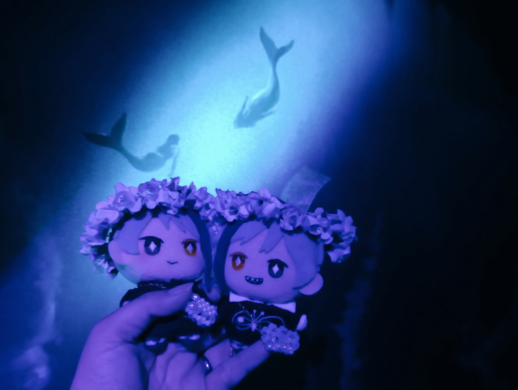 twstchocousagi's tweet photo. 深海へ🦈🐬
ほんとに久しぶりのハウステンボス楽しかった✨✨✨
#twstぬい撮り部 
#にゃんにゃんうつぼ https://t.co/zvfytwD9iP