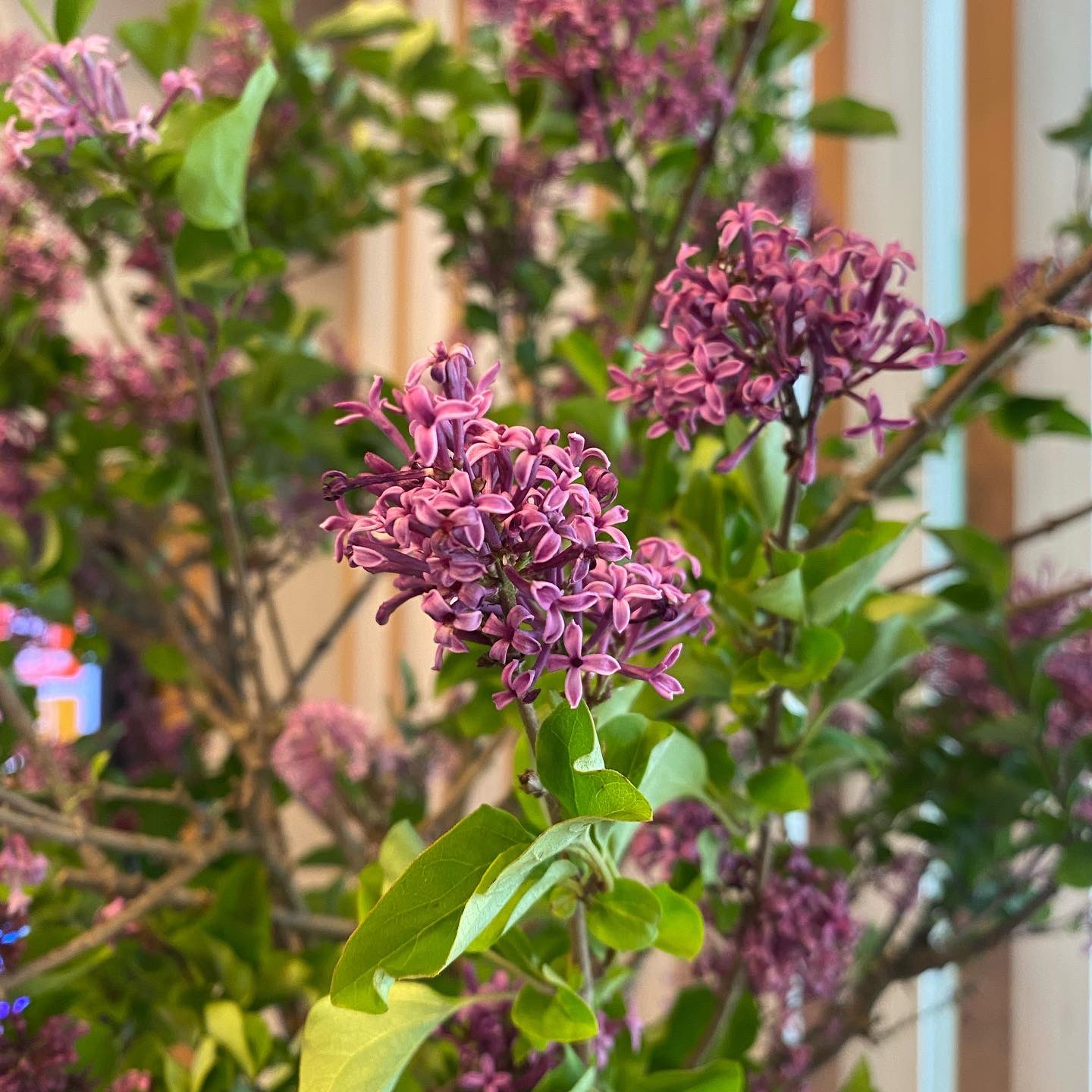 Florist花秀 Hanahide Com Twitter