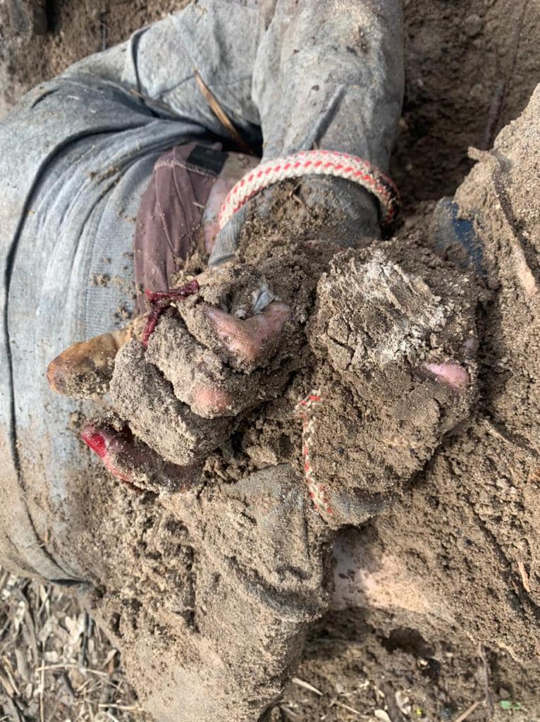 DMokryk's tweet photo. Hands tied behind their backs, then - shot by Russians. 

It's NOT an old photo from Bucha or Irpin, it's a newly found body in 🇺🇦Kalynivka (Kyiv region). People keep finding graves in places where Russian army was present.

The photo should be printed on the EU heating bills. https://t.co/Tt9DF3MmKP