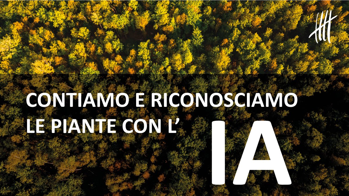 È possibile conoscere il numero esatto di piante presenti in ogni impianto?

Abbiamo sviluppato un algoritmo di #IA che, grazie alle immagini satellitari, automatizza il conteggio e genera stime sempre aggiornate e accurate.

Scopri di più su ABACO Farmer! abacofarmer.com